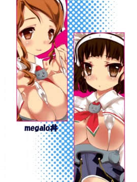 [脸肿汉化组] (砲雷撃戦! よーい！十七戦目) [megalo丼 (めざしごはん)] にゃん改二 (艦隊これくしょん -艦これ-)_kan_colle0018_