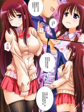 [无毒汉化组] (COMIC1☆9) [鴨川屋 (鴨川たぬき)] CHERRY SISTER BLOSSOM (咲 -Saki-)_img004