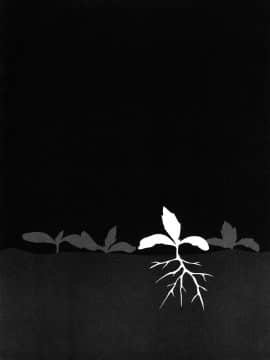 [町田ひらく] たんぽぽのまつり_089