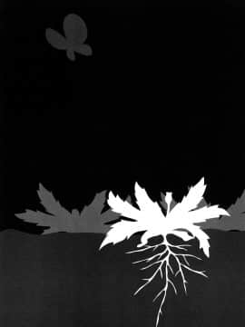 [町田ひらく] たんぽぽのまつり_133