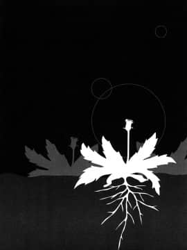 [町田ひらく] たんぽぽのまつり_155