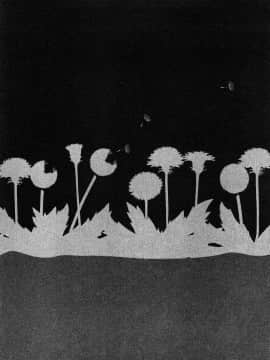 [町田ひらく] たんぽぽのまつり_207