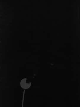 [町田ひらく] 黄泉のマチ_049