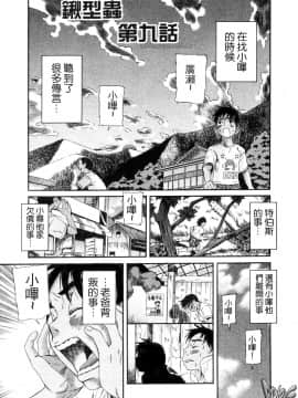 [A・浪漫・我慢] くわがた 鍬形蟲_146