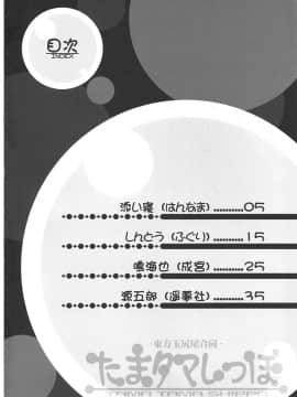 [Benny个人汉化] (C81) [成宮 (鳴海也)] たまタマしっぽ (東方Project)_03