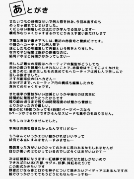 [oo君個人漢化](C90) [てつのおとしご (チロリアン)] 赤い本。 (東方Project)_029