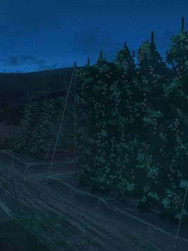 [ORCSOFT][DSKBJCS どすけべじゅ～し～ず☆]_0427_bg082