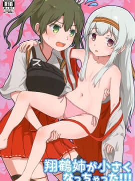 (C90) [ifpark.com (ifpark)] 翔鶴姉が小さくなっちゃった!!! (艦隊これくしょん -艦これ-) [中国翻訳]