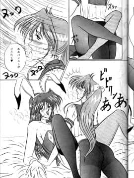 (C47) [ヨモスエ同好会 (げしょ一郎, TYPE.90)] THE OMNIVOUS VII (美少女戦士セーラームーン)_25