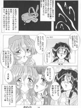 (サンクリ12) [ヨモスエ同好会 (げしょ一郎)] THE OMNIVOUS GG2 (よろず)_34