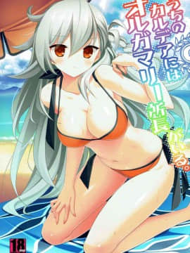 [寂月汉化组] (C92) [BERRY BAGEL (兼清みわ)] うちのカルデアにはオルガマリー所長がいる。 (FateGrand Order)_002