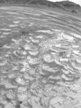 [all over the Place (駄菓子)] もや●もん TALES OF DOPPELGANGER (もやしもん)(COMIC1☆2)_031