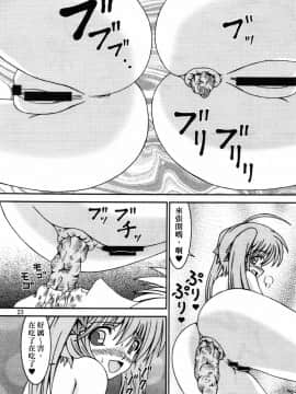 [臭鼬娘漢化組] (C78) [給食泥棒 (叢雲)] For the time being 8_SGTG_057_023