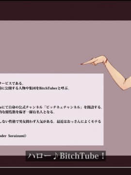 (同人CG集) [愛国者] BitchTuber ハーフでビッチなJKとハメまくってみた！_0002