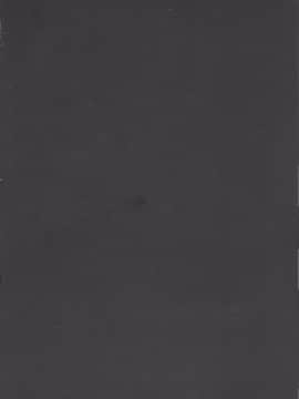 （c90）[Yokohama Junky (魔狩十織)] ペアハンターの生態[VK1062喵&萌紋 漢化]集合_P_006