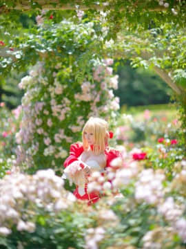 (C93) [Shooting Star's (Saku)] Nero Collection_0010