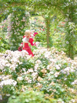 (C93) [Shooting Star's (Saku)] Nero Collection_0012