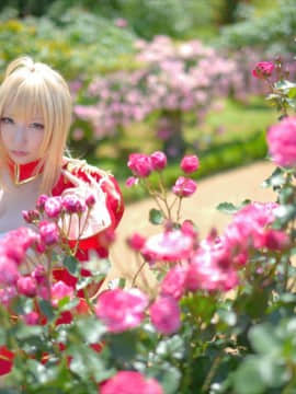 (C93) [Shooting Star's (Saku)] Nero Collection_0029