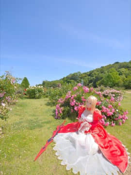 (C93) [Shooting Star's (Saku)] Nero Collection_0048