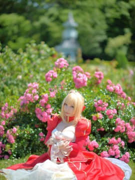 (C93) [Shooting Star's (Saku)] Nero Collection_0053