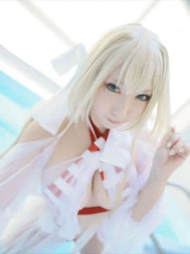 (C93) [Shooting Star's (Saku)] Nero Collection_0207