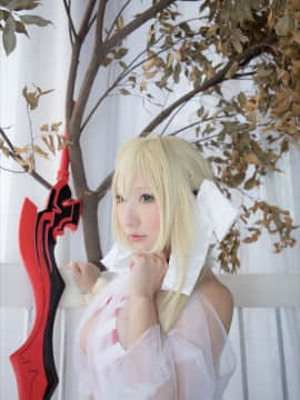 (C93) [Shooting Star's (Saku)] Nero Collection_0218
