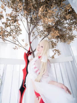 (C93) [Shooting Star's (Saku)] Nero Collection_0244