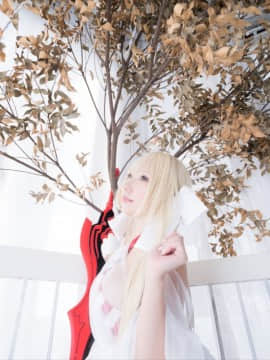 (C93) [Shooting Star's (Saku)] Nero Collection_0245
