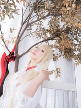 (C93) [Shooting Star's (Saku)] Nero Collection_0246