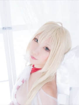 (C93) [Shooting Star's (Saku)] Nero Collection_0251