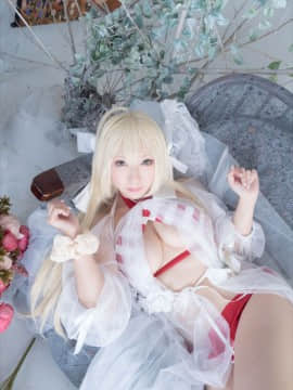(C93) [Shooting Star's (Saku)] Nero Collection_0257
