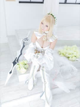(C93) [Shooting Star's (Saku)] Nero Collection_0272