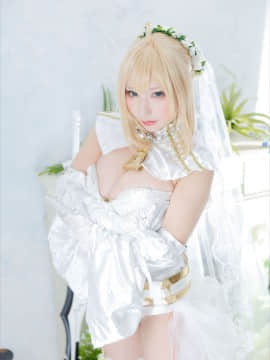 (C93) [Shooting Star's (Saku)] Nero Collection_0296
