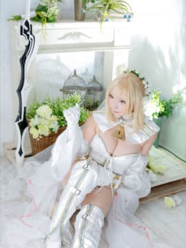 (C93) [Shooting Star's (Saku)] Nero Collection_0309