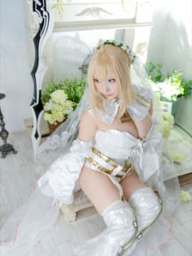 (C93) [Shooting Star's (Saku)] Nero Collection_0313
