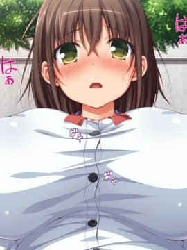 (同人CG集) [ビッグフットの森] 一目見せれば犯り放題～女を魅了する呪われたちんぽ～_j28