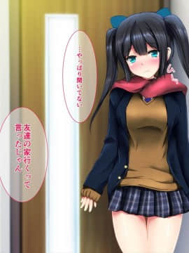 (同人CG集) [ディクシー (小幡こころ)] 俺の可愛い義妹は寝取られる_a5_6518