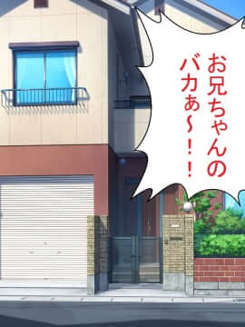 (同人CG集) [ほっとみかん (きしめん)] お兄ちゃんは待てもできないダメ犬ですね_014_13