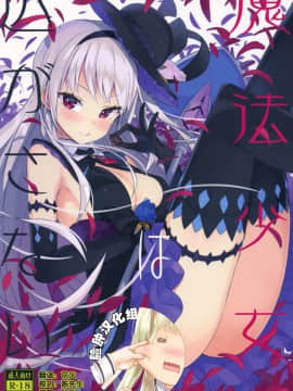 (C92) [High Tech Pen Case (Tam-U)] Mahou Shoujo wa Nigasanai [Chinese] [脸肿汉化组]