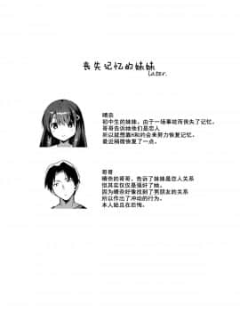 (COMIC1☆11) [squeezecandyheaven (いちはや)] 妹は記憶喪失 later. [中国翻訳_05_00000004