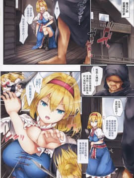 [嗶咔嗶咔&滿月聯合漢化] (例大祭15) [しろくろうさ (スギユウ)] 肉人形 アリス・マーガトロイド (東方Project)_03
