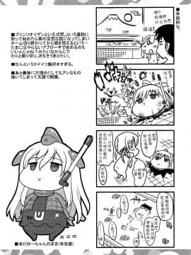 [脸肿汉化组] (C88) [鶯屋 (鶯神楽)] Weiβe Damenslips (艦隊これくしょん -艦これ-)_25
