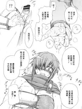 [我不看本子个人汉化](C73) [SHD (部長ちんけ, ひろみ)] 排除DS帳 (ルミナスアーク)_09