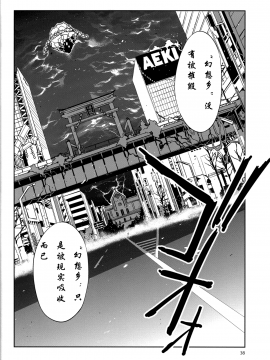 (例大祭9) [ありすの宝箱 (水龍敬)] 東方幻想崩壊弐 (東方Project) [中国翻訳]_34