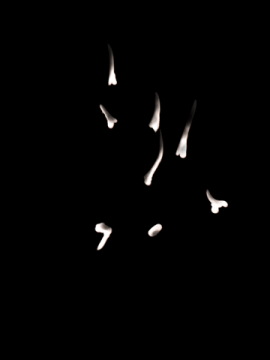 luka的奇幻冒險_0842