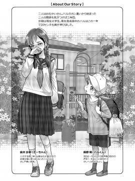 (コミティア124) [オタクビーム (大塚まひろ)] すていばいみい・ぴりおど (オリジナル)_003