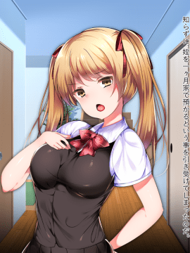 (同人CG集) [くりてぃかるひぅと] 生意気娘を調教して俺専用のエロオナホにしてみました。_005_4