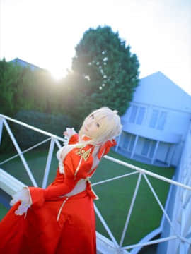 ShootingStar's (SAKU) despot rose_0040