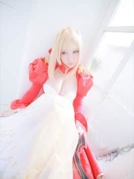 ShootingStar's (SAKU) despot rose_0098