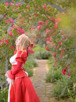 ShootingStar's (SAKU) despot rose_0157